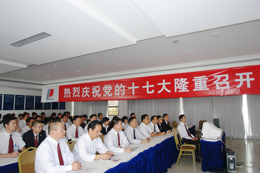 百乐博电器,百乐博电器集团,中国百乐博电器集团